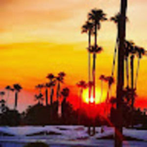 Meet your Posher, Gary